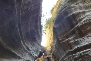 “Paphos Private Tour: Akamas, Avakas, Turtle Bay & Winery”