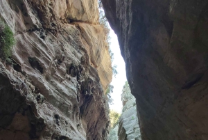 “Paphos Private Tour: Akamas, Avakas, Turtle Bay & Winery”