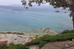 “Paphos Private Tour: Akamas, Avakas, Turtle Bay & Winery”