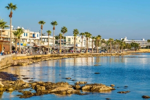Privétour in Paphos: van de Rots van Aphrodite naar Coral Bay