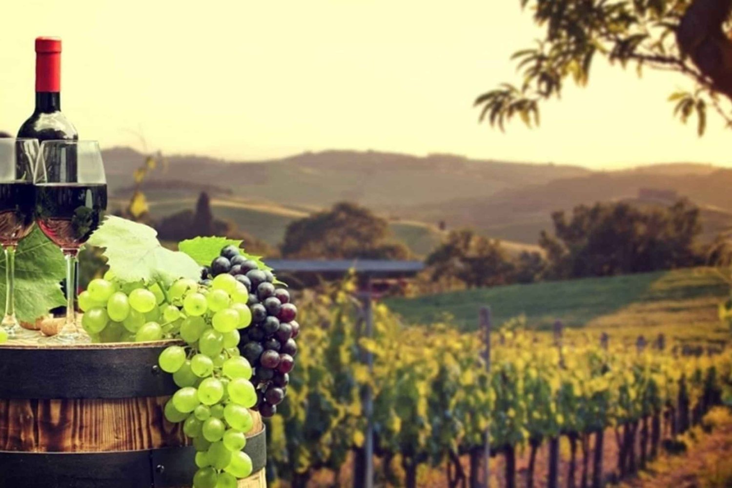 Paphos: Visita privada de vinhos com provas e visitas a adegas
