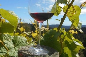 Paphos: Tour privato del vino con degustazioni e visite alle cantine
