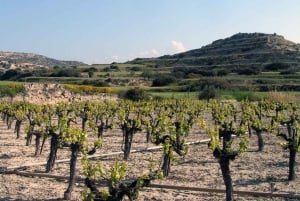 Pafos : Tour privado con cata de vinos