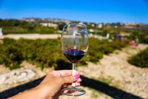 Paphos: Regional Wineries Tour with Wine Tastings