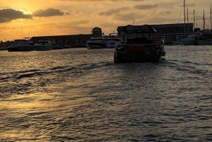 Paphos: Sea Safari Cruise with Blue Marlin Trimaran Yacht