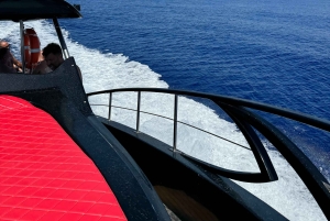 Paphos: Sea Safari Cruise with Blue Marlin Trimaran Yacht