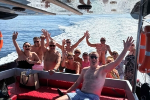 Paphos: Sea Safari Cruise with Blue Marlin Trimaran Yacht