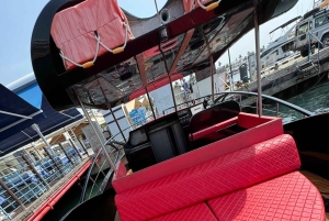 Paphos: Sea Safari Cruise with Blue Marlin Trimaran Yacht