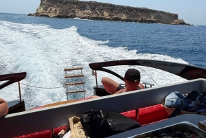 Paphos: Sea Safari Cruise with Blue Marlin Trimaran Yacht