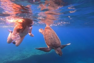 Paphos : excursion guidée de plongée avec tuba pour observer les tortues marines