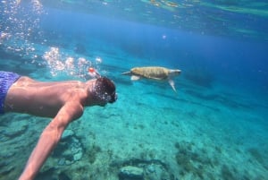 Paphos : excursion guidée de plongée avec tuba pour observer les tortues marines