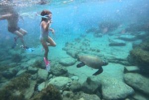 Paphos : excursion guidée de plongée avec tuba pour observer les tortues marines