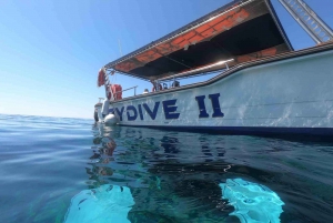 PAPHOS : Plongée en apnée aux rochers Moulia (bateau)