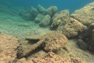 パフォス：海洋公園（海岸）でのシュノーケリング