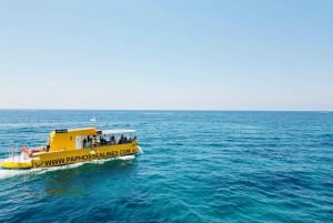 Pafos: Crucero al atardecer, observación de tortugas y bebidas ilimitadas