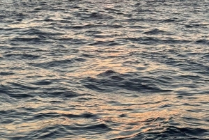 Paphos: Sunset Cruise with Swimming Stop