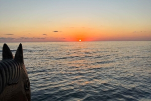 Paphos: Sunset Cruise with Swimming Stop