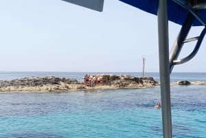 パフォス：イエローグラスボトムボートクルーズ（泳ぎ＆シュノーケリング）