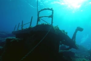 パフォス：イエローグラスボトムボートクルーズ（泳ぎ＆シュノーケリング）