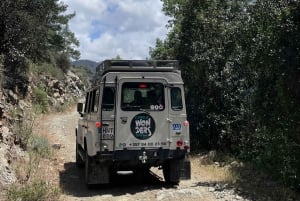 Pafos - Montañas de Troodos a través de pueblos y bosques.