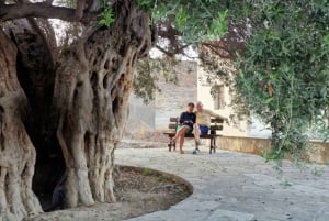 Paphos - montanhas de Troodos através de aldeias e florestas.