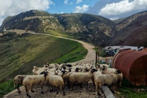 Paphos - montanhas de Troodos através de aldeias e florestas.