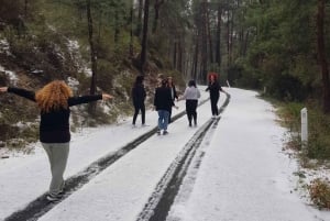 Paphos - Troodos-bjergene gennem landsbyer og skov.