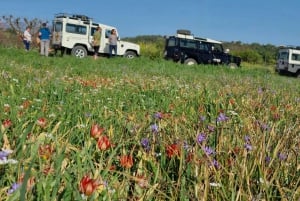 Paphos - Troodosgebergte door dorpjes en bossen.