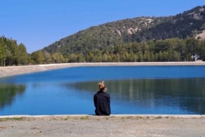 Paphos - Troodos-Gebirge durch Dörfer und Wälder.