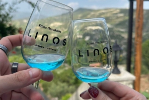 Paphos: Tour in jeep dei monti Troodos con degustazione di vini