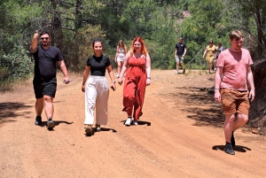 Paphos: Jeeptur i Troodos-bjergene med vinsmagning