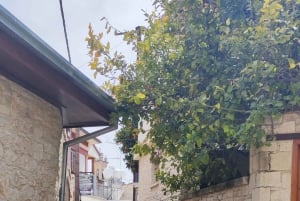 Pafos: Excursión a los Pueblos de las Montañas de Troodos con Cata de Vinos