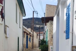 Pafos: Excursión a los Pueblos de las Montañas de Troodos con Cata de Vinos