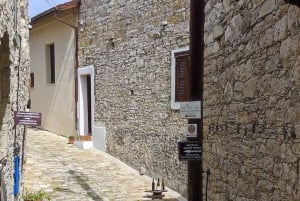 Pafos: Excursión a los Pueblos de las Montañas de Troodos con Cata de Vinos