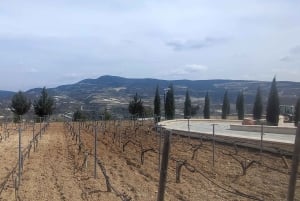 Pafos: Excursión a los Pueblos de las Montañas de Troodos con Cata de Vinos