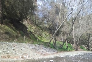 Pafos: Excursión a los Pueblos de las Montañas de Troodos con Cata de Vinos
