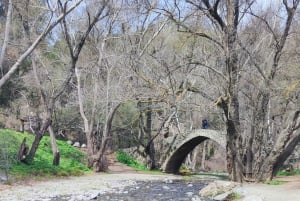 Pafos: Excursión a los Pueblos de las Montañas de Troodos con Cata de Vinos