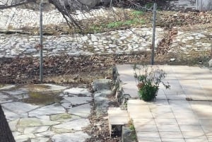 Pafos: Excursión a los Pueblos de las Montañas de Troodos con Cata de Vinos