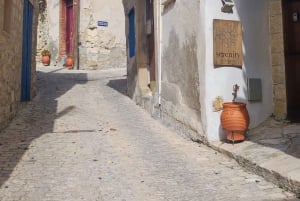 Pafos: Excursión a los Pueblos de las Montañas de Troodos con Cata de Vinos