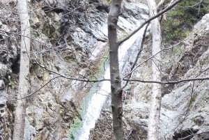 Pafos: Excursión a los Pueblos de las Montañas de Troodos con Cata de Vinos