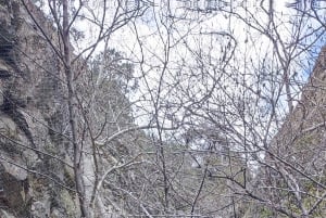 Pafos: Excursión a los Pueblos de las Montañas de Troodos con Cata de Vinos