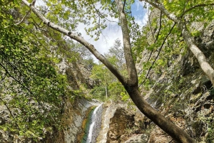 Pafos: Excursión a los Pueblos de las Montañas de Troodos con Cata de Vinos