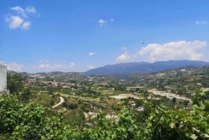 Pafos: Excursión a los Pueblos de las Montañas de Troodos con Cata de Vinos