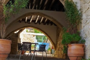 Pafos: Excursión a los Pueblos de las Montañas de Troodos con Cata de Vinos