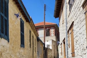 Pafos: Excursión a los Pueblos de las Montañas de Troodos con Cata de Vinos