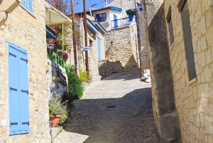 Pafos: Excursión a los Pueblos de las Montañas de Troodos con Cata de Vinos