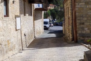 Pafos: Excursión a los Pueblos de las Montañas de Troodos con Cata de Vinos