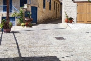 Pafos: Excursión a los Pueblos de las Montañas de Troodos con Cata de Vinos