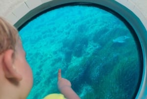 Pafos: crucero para avistar tortugas, aventura de snorkel y puesta de sol.