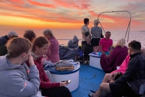 Pafos: crucero para avistar tortugas, aventura de snorkel y puesta de sol.